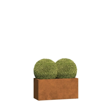 Ancona Mini - Jardiniere cu role