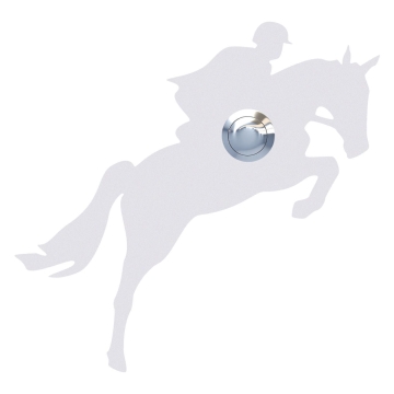 Sonerie cal balansoar alb