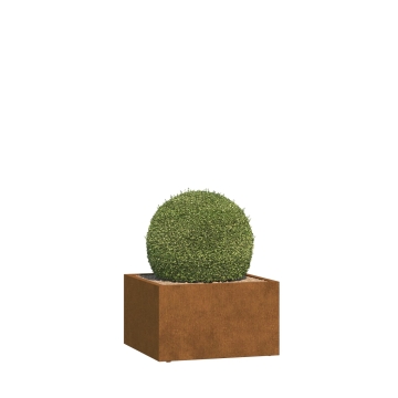 Ghiveci Mantua Mediu cu Role