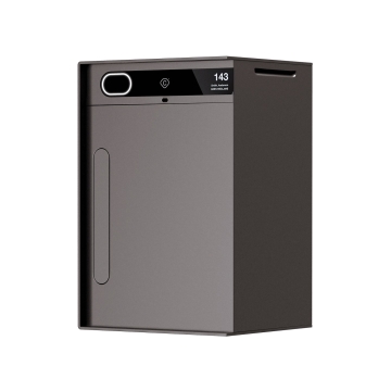 Cutie poștală inteligentă pentru colete mici Baby Custo - Gri - Maro